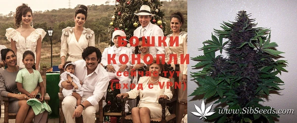 таблы Вяземский