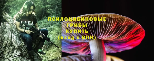 трава Вязьма