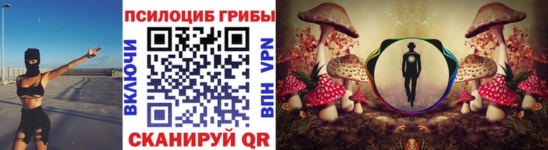 KRAKEN   Калининград  Галлюциногенные грибы прущие грибы 